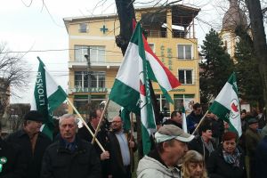 FOTO&LIVE. Ziua Maghiarilor de Pretutindeni, acum la Satu Mare
