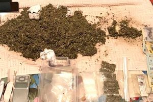 Un vânzător de moarte a fost capturat de poliţişti