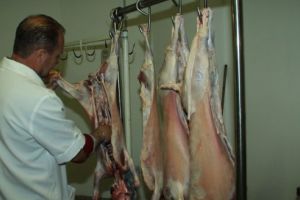 Mieii de Paşte vor fi sacrificaţi în şase centre temporare autorizate sanitar-veterinar