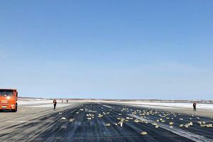 VIDEO FOTO Un avion a pierdut nouă tone de aur şi diamante. Valorează 368 milioane dolari