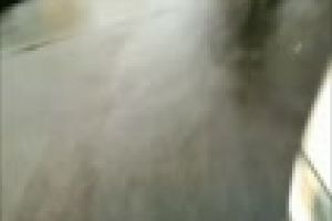 Cluj: Un angajat MAI a scos legitimaţia în urma unei RĂFUIELI pentru un loc de parcare - VIDEO / UPDATE