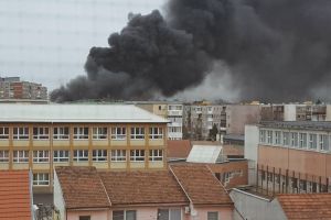 BREAKING NEWS/ ARDE Piaţa Agroalimentară din VLAICU (GALERIE FOTO)
