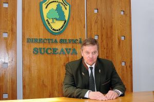 Cel mai mic volum de masă lemnoasă tăiat ilegal, din ultimii 10 ani, în pădurile ...