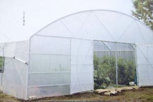 Ajutor pentru nevoiaşii din trei comune