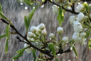 ATENŢIONARE METEO: ploi abundente, vijelii şi frig în întreaga ţară