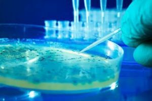 VIRUSUL care face RAVAGII în România. Jumătate de MILION de oameni sunt AFECTAȚI. Ce spun SPECIALIȘTII