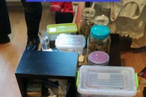 Studenţii nigerieni dealeri de droguri, prinşi de poliţişti. Vindeau canabis, cocaină şi ecstasy