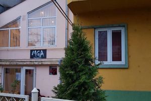 Galerie de arta si expozitie permanenta a pompierului pictor, Andrei Moga, la Timisoara