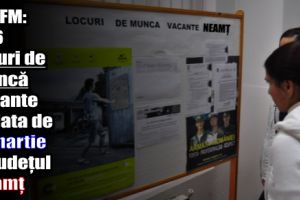 AJOFM: 536 locuri de muncă vacante la data de 17 martie 2018 în judeţul Neamţ