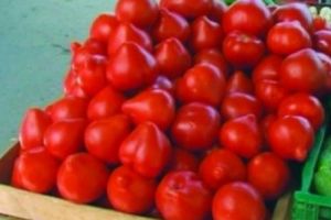 SECRETUL ROȘIILOR aduse în ROMÂNIA. Cum sunt COLORATE ARTIFICIAL de pe un CALCULATOR