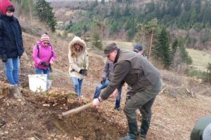 „Luna plantării arborilor 2018”. Direcţia Silvică Braşov va împăduri peste 50 de hectare