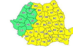 Cod galben pentru judeţul Bacău