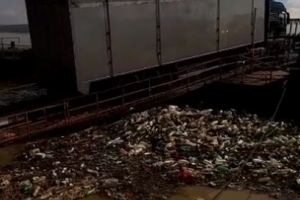 VIDEO Dunărea creşte, gunoaiele vin