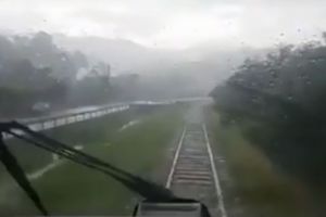 Circulaţia a două trenuri, afectată de un arbore căzut peste linia de înaltă tensiune