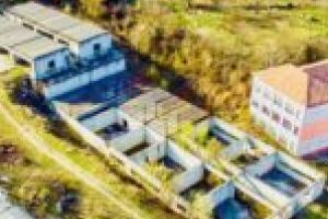 Primarul Nelu Popa a obţinut o semnătură de peste 10 milioane de lei! Pentru grădiniţa şi creşa din Moroasa!