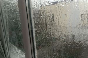 Imagini cu PLOAIA INGHETATA, in Ploiesti. Fenomen meteo rar