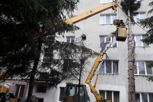 Copaci căzuţi în Bistriţa, linie de medie tensiune avariată, acoperiş afectat de vânt