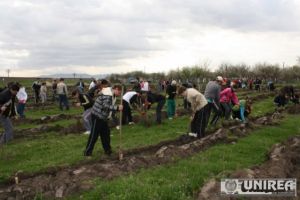 În judeţul Alba a luat startul „Luna plantării arborilor” 2018