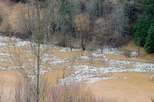 Imaginile ruşinii în Munţii Apuseni: Mii de sticle din plastic plutesc pe apele umflate ale râului Arieş