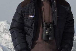 Zăpada le-ar putea fi fatală păsărilor migratoare