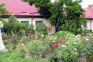 Cât câştigi dacă ajungi contabil-şef la ADP?