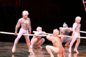 Tragedie FĂRĂ MARGINI la Cirque de Soleil. Un acrobat a MURIT în timpul spectacolului