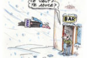 Insectarul cu nă(l)uci 19 martie 2018