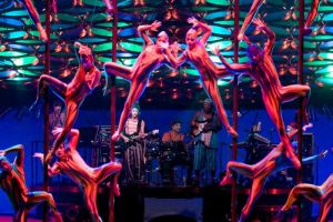 Artist de la Cirque du Soleil, mort in timpul spectacolului. Ce s-a intamplat