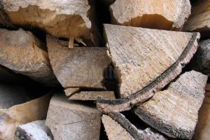 Amenzi usturătoare şi lemn confiscat la o societate forestieră din Râşca