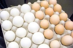 Ouăle din UE, verificate de inspectorii DSVSA Vaslui