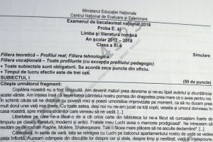 Subiectele date la limba română la simularea Bacalaureatului