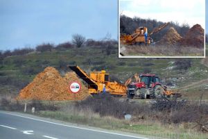 Defrişare... din eroare: Proprietarul unei livezi de la marginea Oradiei s-a trezit că i-au dispărut pomii de pe 1,6 hectare