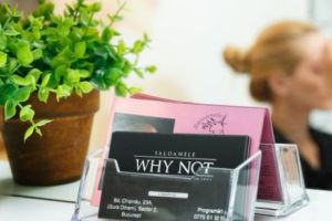 Ambiţia care a condus către succes – Saloanele Why Not (P)