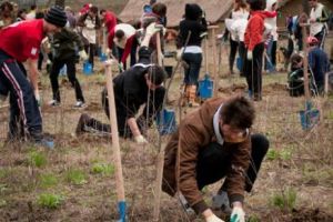 Se caută voluntari pentru a planta copaci la mănăstirea Dobreşti