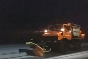 Utilajele de deszapezire au iesit din nou la lucru