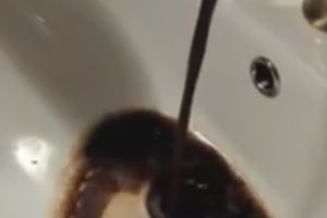 VIDEO. Apă neagră la robinet, în Carei. Oamenii nu pot utiliza apa pe care o plătesc