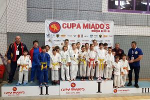 Judoka ARĂDENI au ocupat DOUĂSPREZECE LOCURI pe PODIUM la Cupa Miado΄s de la Sibiu. CINE sunt medaliaţii