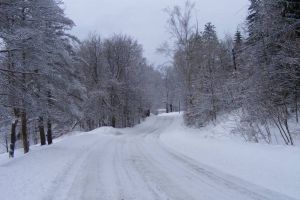 La nivelul judeţului Bacău, căderile de zăpadă din ultimele zile nu au produs evenimente deosebite