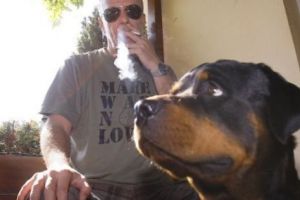 Andrei Gheorghe, despre mogulii săi rataţi: Sârbu, Voiculescu şi Vîntu