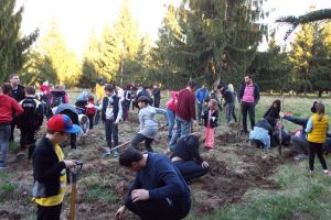 A început Luna Plantării Arborilor 2018