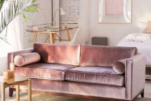 Cum readucem um readucem rozul în casă