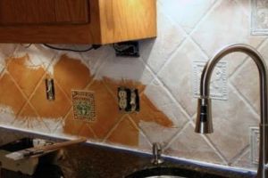 Nu trebuie să  schimbaţi faianţa, O PUTEȚI VOPSI!