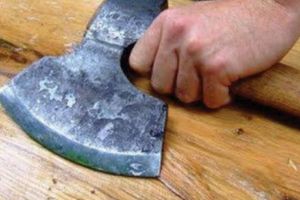 VASLUI. Tătă şi fiu hăcuiţi cu furcile şi topoarele