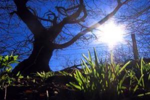 ECHINOCȚIUL DE PRIMĂVARĂ 2018 are loc pe 20 martie, ziua în care copiii alungă frigul, iar taţii pornesc plugurile