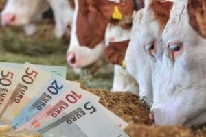 PLĂȚI PRIVIND BUNĂSTAREA ANIMALELOR – CAMPANIA 2018