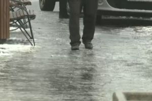 Pledoarie pentru normalitate – ZICEŢI-I, MĂ, POLEI! ȘI NU MAI OPRITI CIRCULAŢIA!…