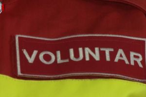 Două eleve în clasa a XI-a, la „Ștefan” şi „Petru Rareş”, de peste doi ani ...