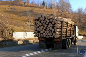 Buşteni şi cherestea confiscate de poliţişti