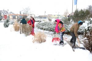 FOTO. Deszăpezire într-un oraş din Satu Mare: Angajaţii Primăriei şi cetăţenii, împreună la lopată