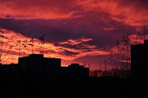 ECHINOCȚIU. Primăvara astronomică a sosit. Afară e încă iarnă?!